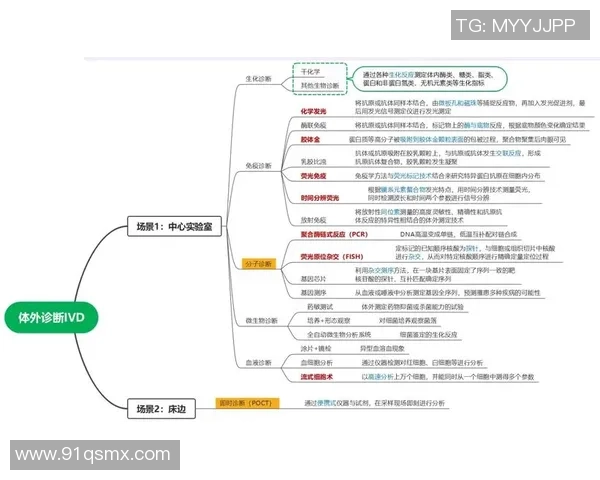 广州与深圳排球队赛后技术分析与战术复盘探讨